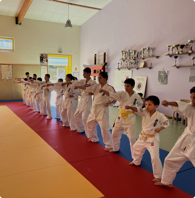 dojo